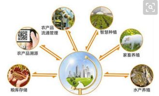 智慧農業的網絡技術研發 借鑒國外經驗，探索中國特色發展道路